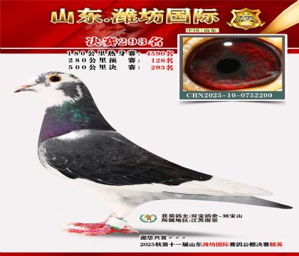 Ϋ�����ʾ���293��