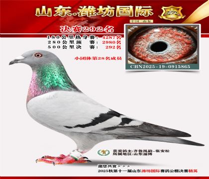 Ϋ�����ʾ���292��