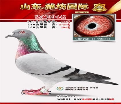 Ϋ�����ʾ���294��