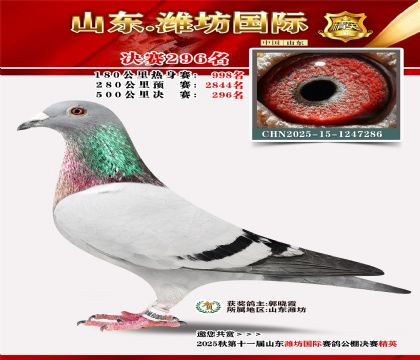 Ϋ�����ʾ���296��