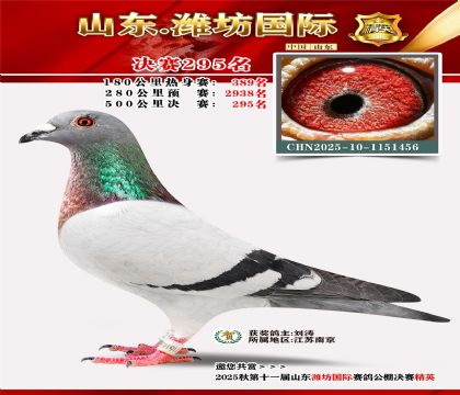 Ϋ�����ʾ���295��