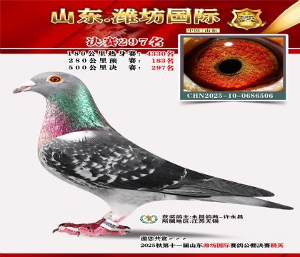 Ϋ�����ʾ���297��