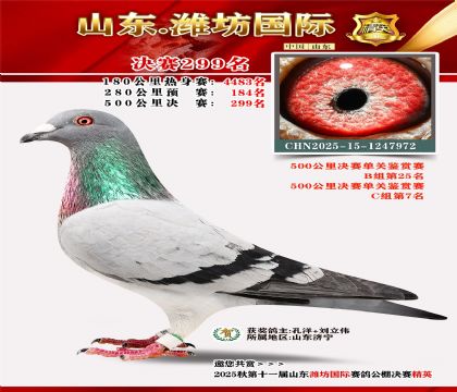 Ϋ�����ʾ���299��