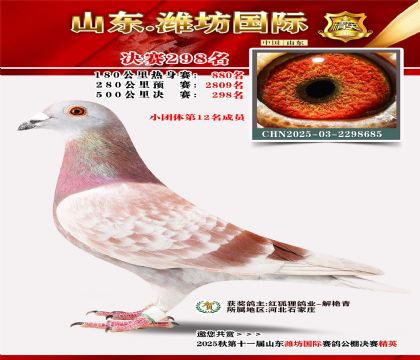 Ϋ�����ʾ���298��