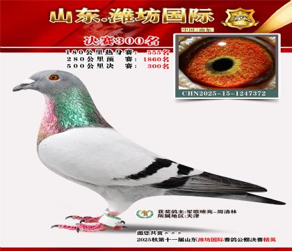 Ϋ�����ʾ���300��