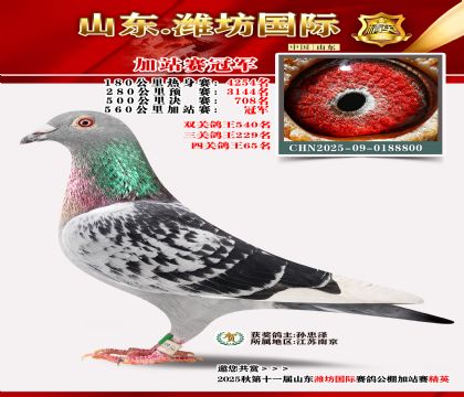 Ϋ�����ʼ�վ���ھ�