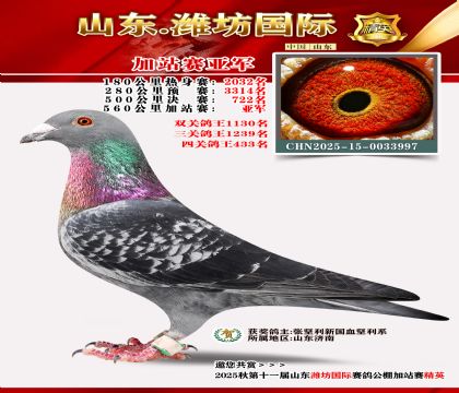 Ϋ�����ʼ�վ���Ǿ�