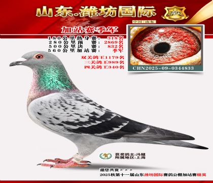 Ϋ�����ʼ�վ������