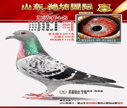 Ϋ�����ʼ�վ��4��