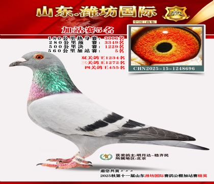 Ϋ�����ʼ�վ��5��