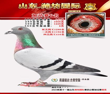 Ϋ�����ʼ�վ��6��