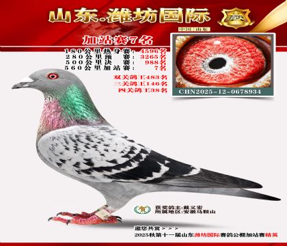 Ϋ�����ʼ�վ��7��