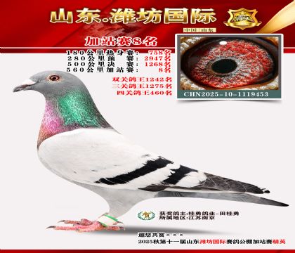 Ϋ�����ʼ�վ��8��