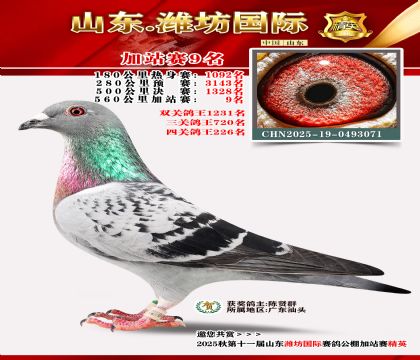 Ϋ�����ʼ�վ��9��