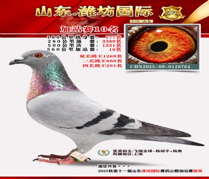 Ϋ�����ʼ�վ��10��