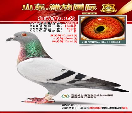 Ϋ�����ʼ�վ��11��