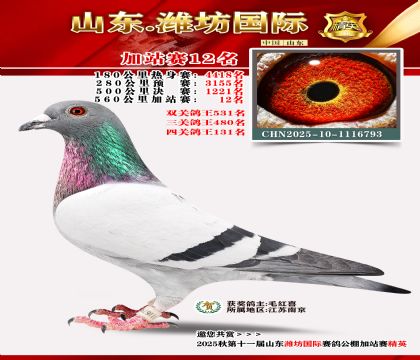 Ϋ�����ʼ�վ��12��