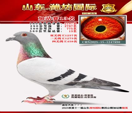 Ϋ�����ʼ�վ��13��