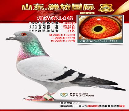 Ϋ�����ʼ�վ��14��