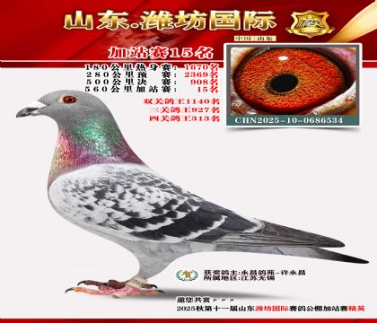 Ϋ�����ʼ�վ��15��