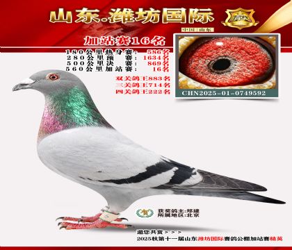 Ϋ�����ʼ�վ��16��