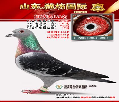 Ϋ�����ʼ�վ��17��