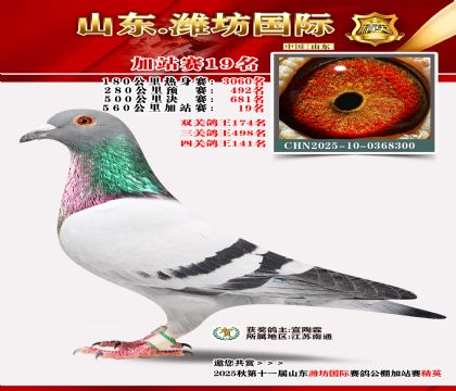 Ϋ�����ʼ�վ��19��