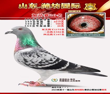 Ϋ�����ʼ�վ��20��