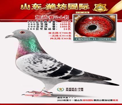 Ϋ�����ʼ�վ��24��