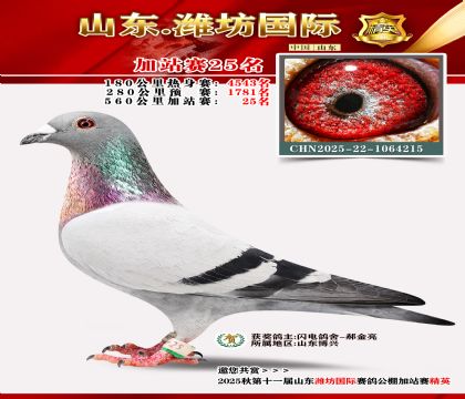 Ϋ�����ʼ�վ��25��