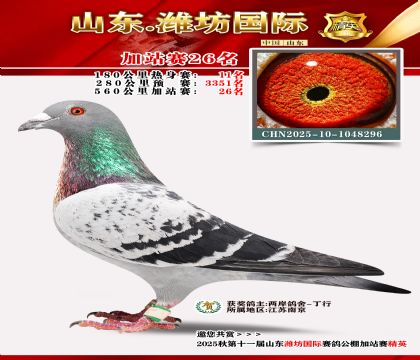 Ϋ�����ʼ�վ��26��