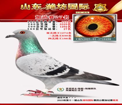 Ϋ�����ʼ�վ��27��