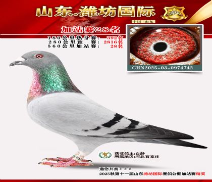 Ϋ�����ʼ�վ��28��