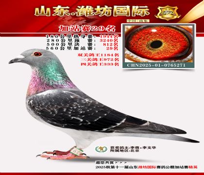 Ϋ�����ʼ�վ��29��