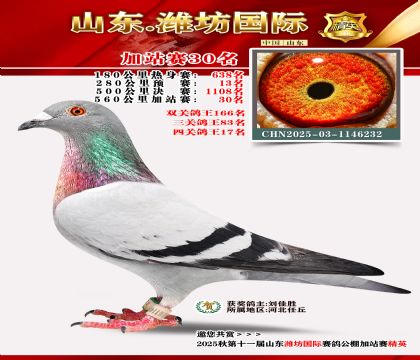 Ϋ�����ʼ�վ��30��