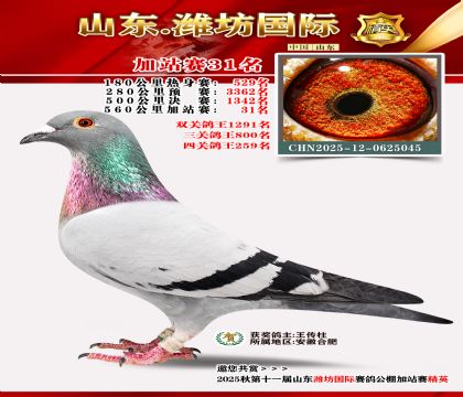 Ϋ�����ʼ�վ��31��