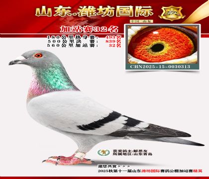 Ϋ�����ʼ�վ��32��