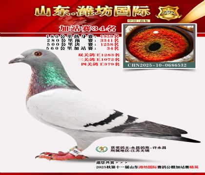 Ϋ�����ʼ�վ��34��