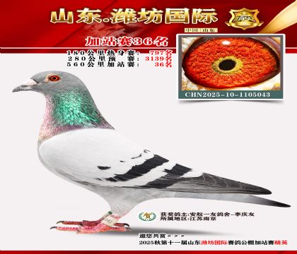 Ϋ�����ʼ�վ��36��