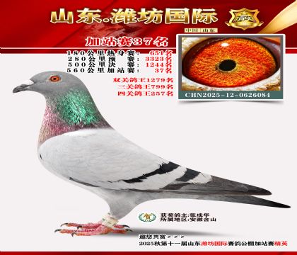 Ϋ�����ʼ�վ��37��