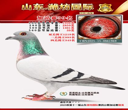 Ϋ�����ʼ�վ��39��