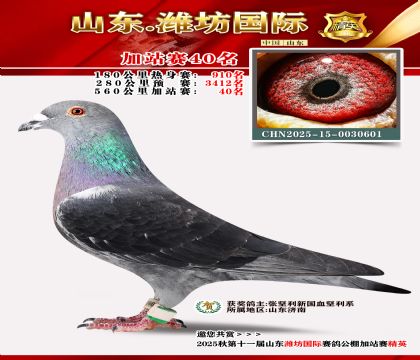 Ϋ�����ʼ�վ��40��