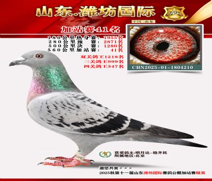 Ϋ�����ʼ�վ��41��