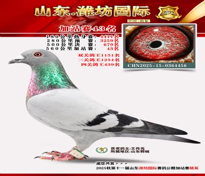 Ϋ�����ʼ�վ��43��