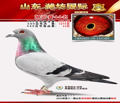 Ϋ�����ʼ�վ��44��