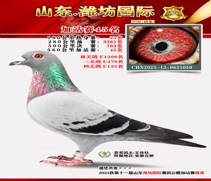 Ϋ�����ʼ�վ��45��