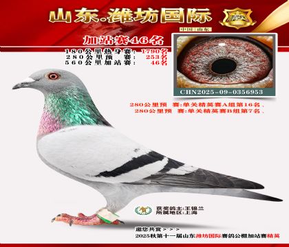 Ϋ�����ʼ�վ��46��