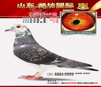 Ϋ�����ʼ�վ��47��