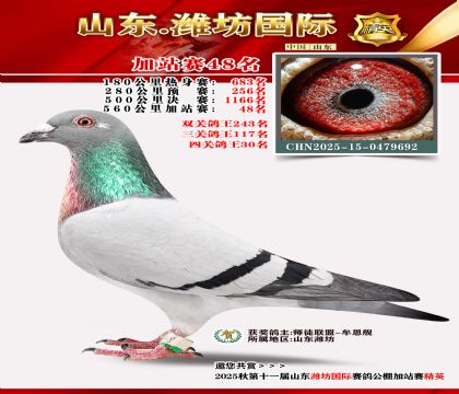 Ϋ�����ʼ�վ��48��