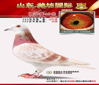 Ϋ�����ʼ�վ��49��